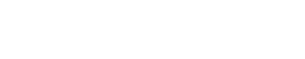 ESRI Partner